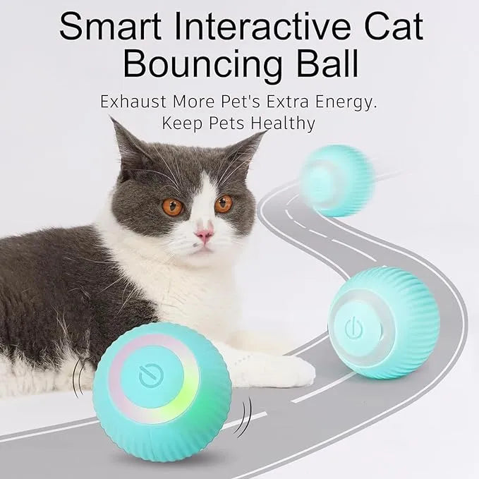 Interactive Automatic Rolling Cat Toy-Toys For Pets | Interactive Toys for Cats