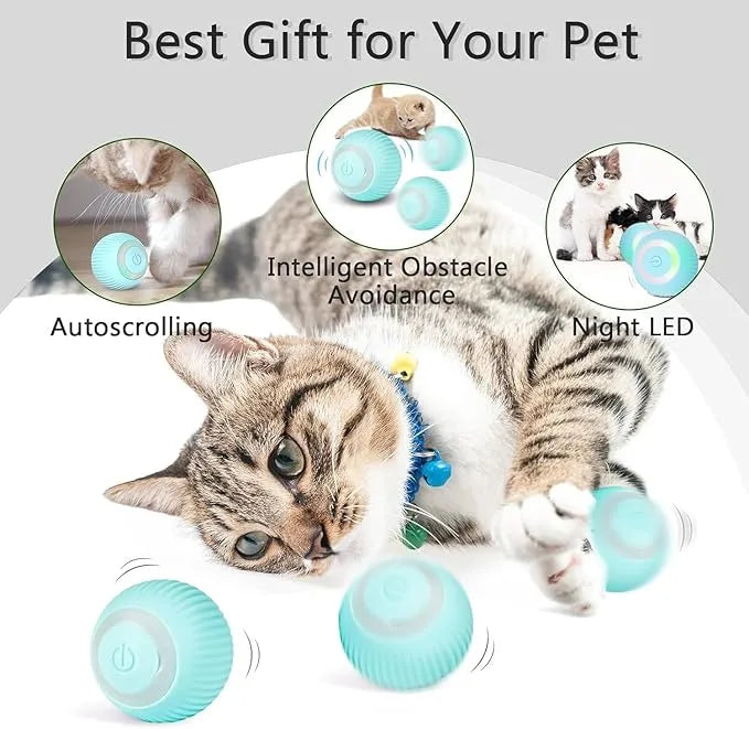 Interactive Automatic Rolling Cat Toy-Toys For Pets | Interactive Toys for Cats