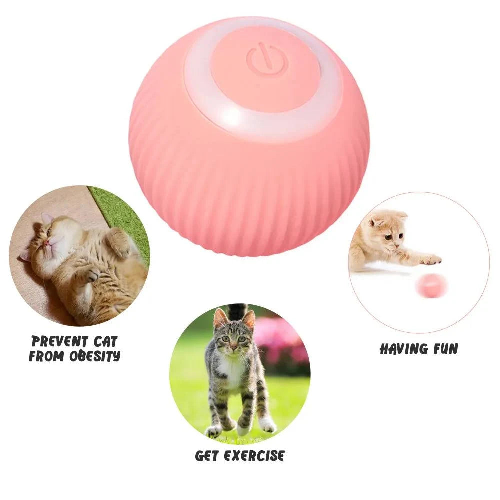 Interactive Automatic Rolling Cat Toy-Toys For Pets | Interactive Toys for Cats