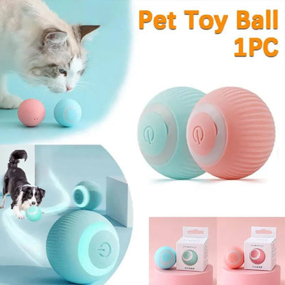 Interactive Automatic Rolling Cat Toy-Toys For Pets | Interactive Toys for Cats
