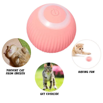 Interactive Automatic Rolling Cat Toy-Toys For Pets | Interactive Toys for Cats